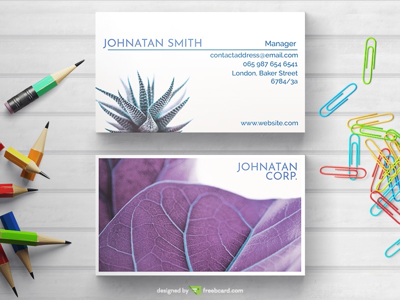 Minimal Business Card With Purple Plant - Freebcard