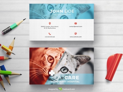 Veterinarian Business Card